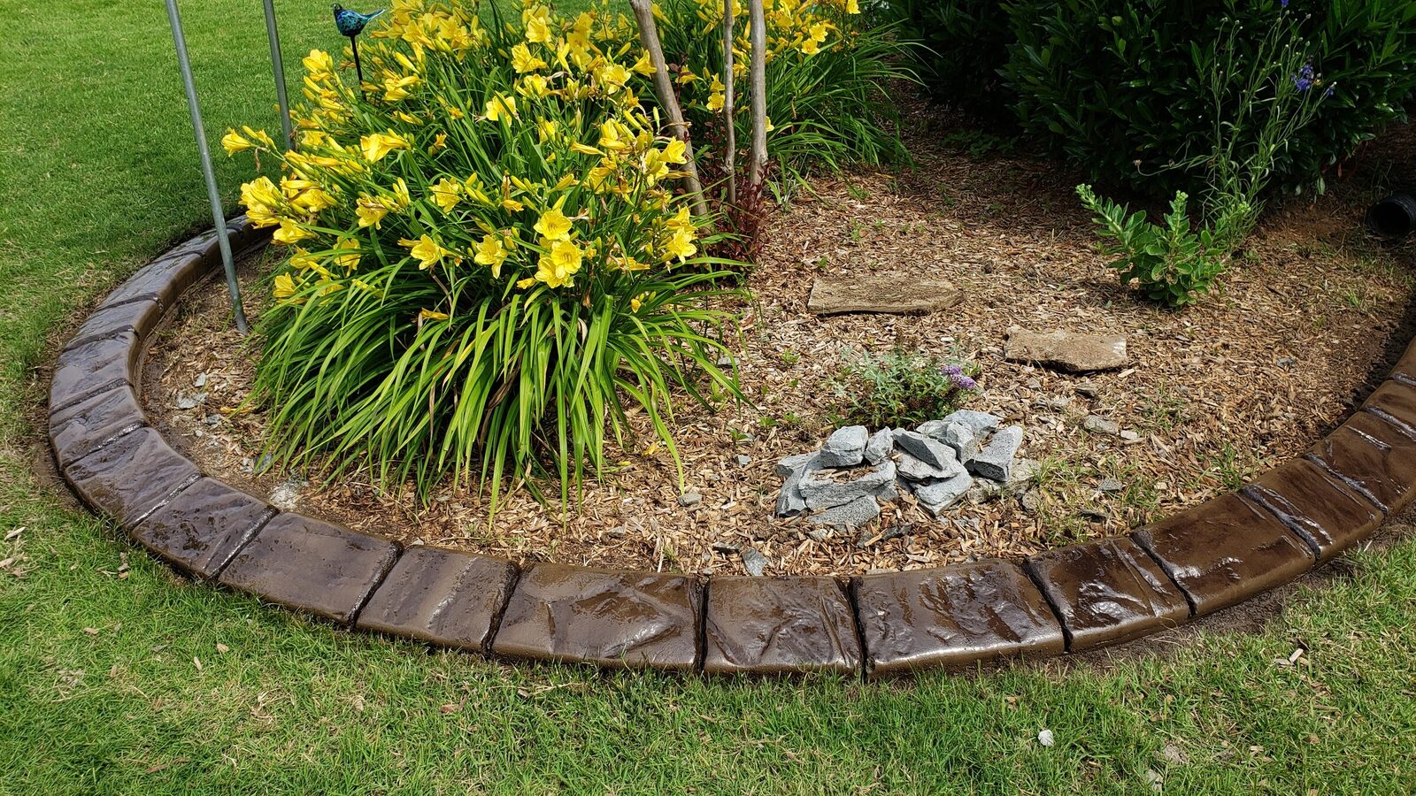 Brown stamped curbing around a daylily island