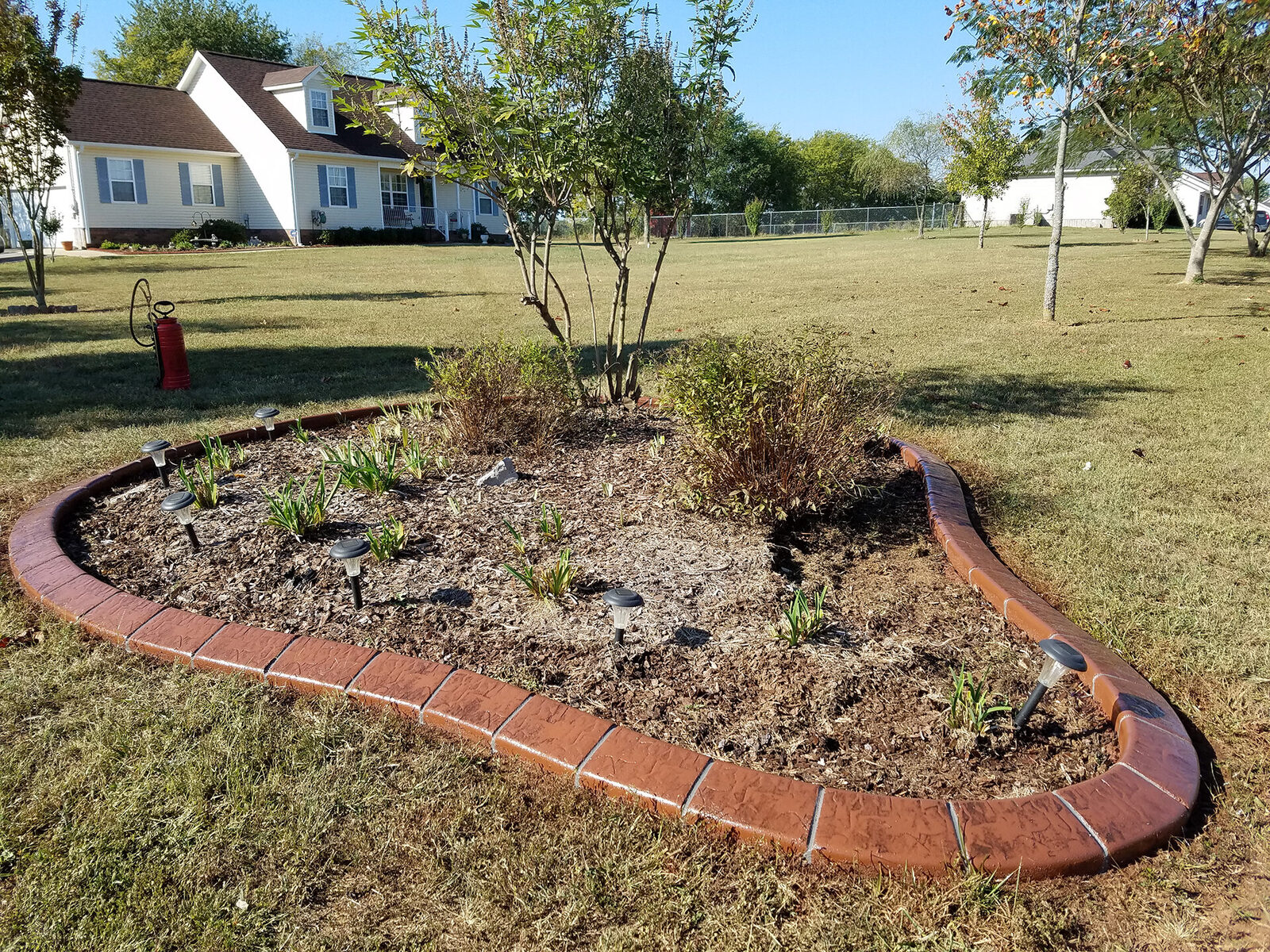 Tree island with red brick border
